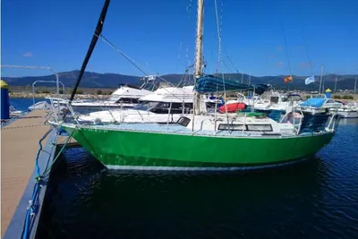 1993 Custom/Other zeebonk 29'