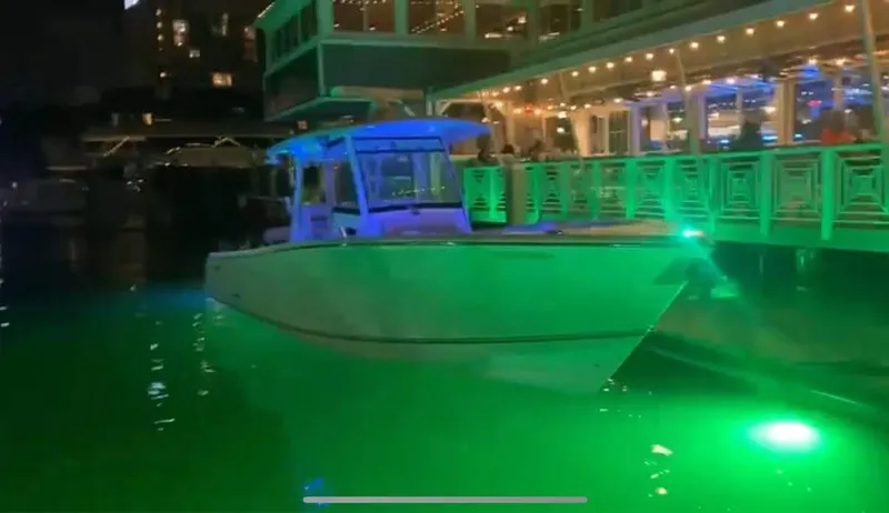  Yacht Photos Pics 2018 Cobia 344 Center Console boat illuminated by green lights at night near a waterfront restaurant.