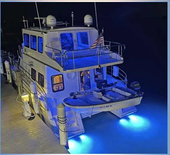 Dolphin Speed Yacht Photos Pics 