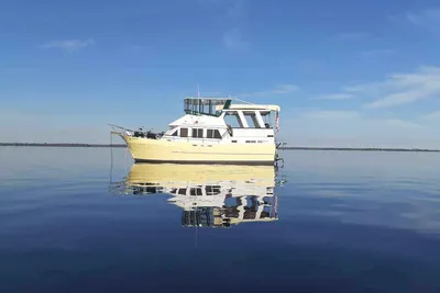 Marine Trader Sundeck 40