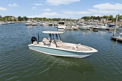Boston Whaler 250 Dauntless