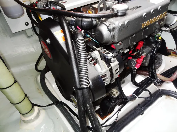 Meow Or Never Yacht Photos Pics 