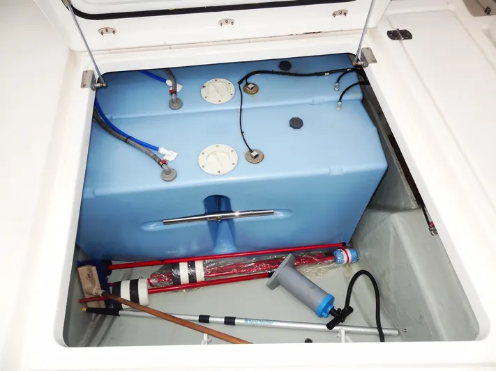 Meow Or Never Yacht Photos Pics 