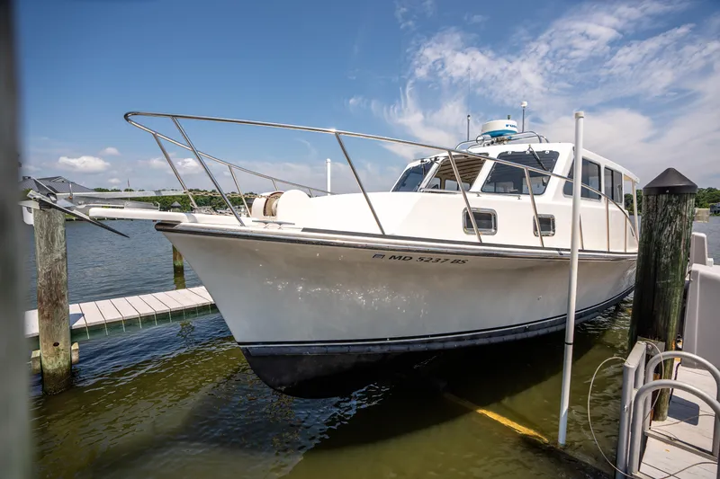 Freedom Yacht Photos Pics 