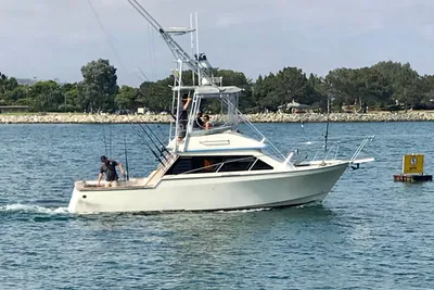 Innovator 31