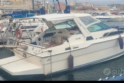 1990 Custom Sundancer 300