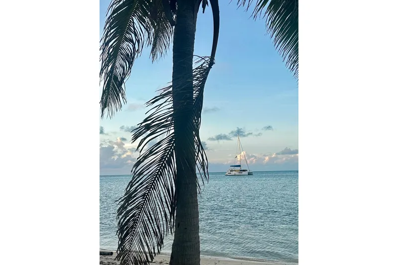 Nice Aft Too Yacht Photos Pics Sailboat Leopard 45, 2018 model, anchored near a tropical beach with palm trees.