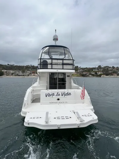 Viva La Vida Yacht Photos Pics 2006 Sea Ray 44 Sedan Bridge yacht on water, rear view, "Viva la Vida" name visible.
