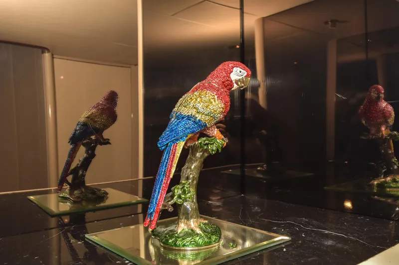 Yolo Yacht Photos Pics 