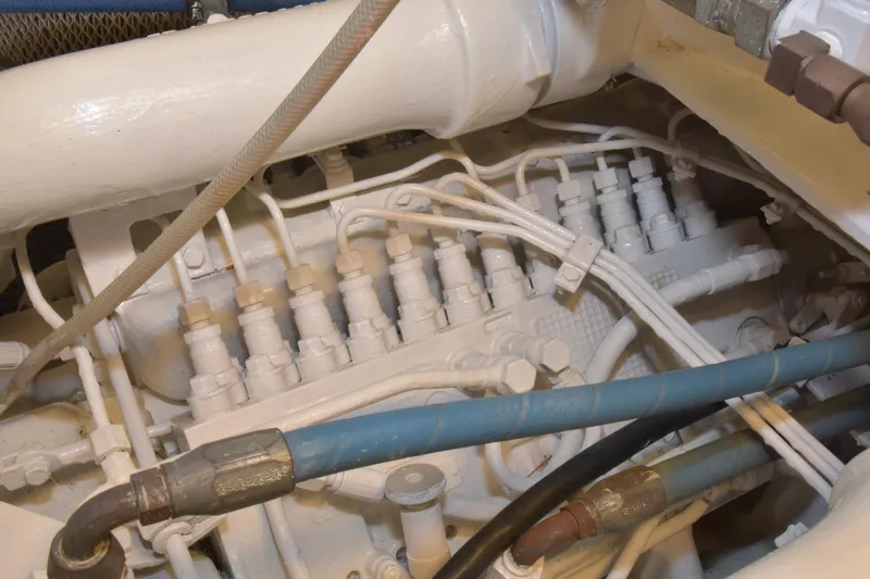 Yolo Yacht Photos Pics 