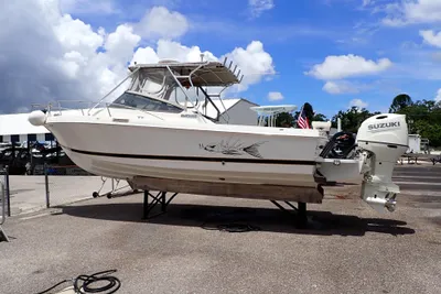 Blackfin 25 Combi