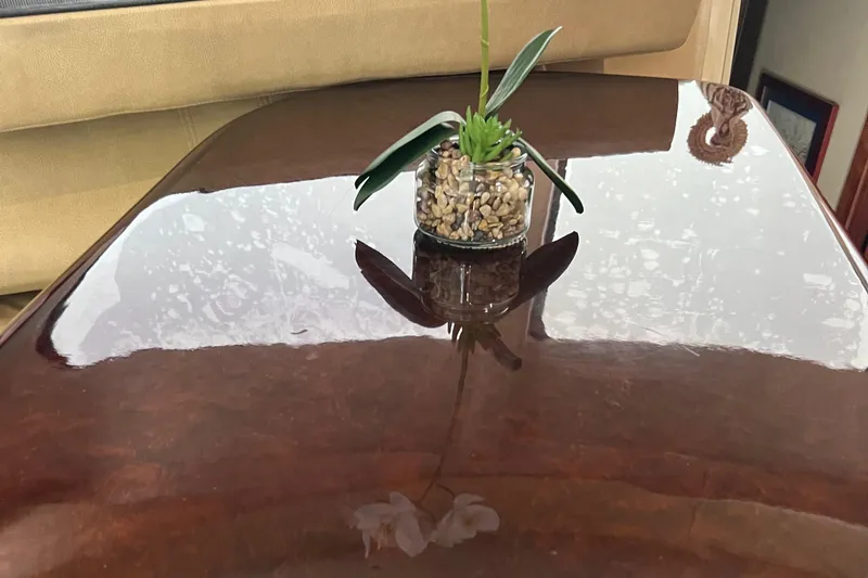  Yacht Photos Pics Elegant table with plant centerpiece on 2006 Sea Ray 52 Sedan Bridge yacht.