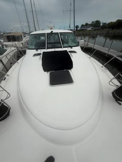 Southern Cross Yacht Photos Pics 