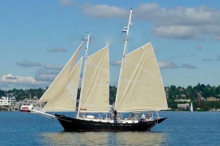 Sailing boat "Pinky Custom 2008" on calm water under a clear blue sky.