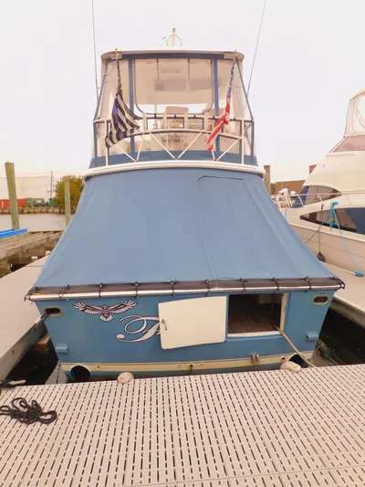 Falcon Yacht Photos Pics 