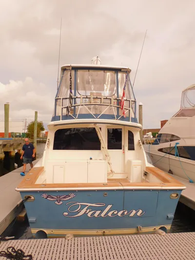 Falcon Yacht Photos Pics 