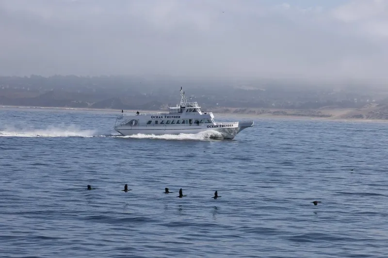 Ocean Thunder Yacht Photos Pics 1986 Gulf Craft passenger boat "Ocean Thunder" cruising on calm waters with birds flying nearby.