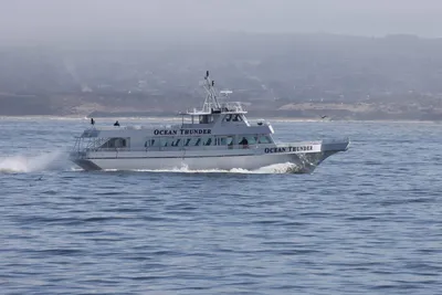 1986 Gulf Craft Passenger