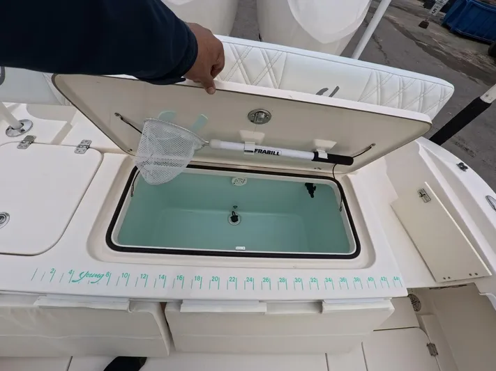  Yacht Photos Pics 2019 Young Boats 27 livewell with open lid and measuring ruler on deck.