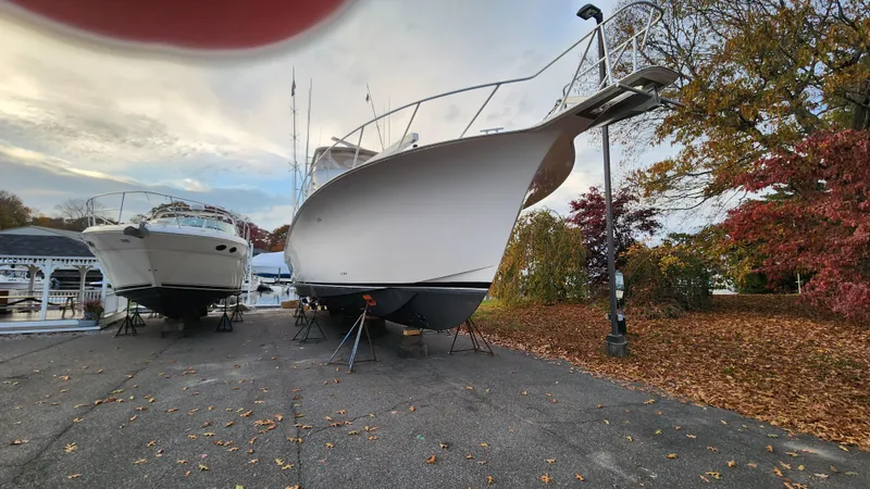 Endurance Yacht Photos Pics 