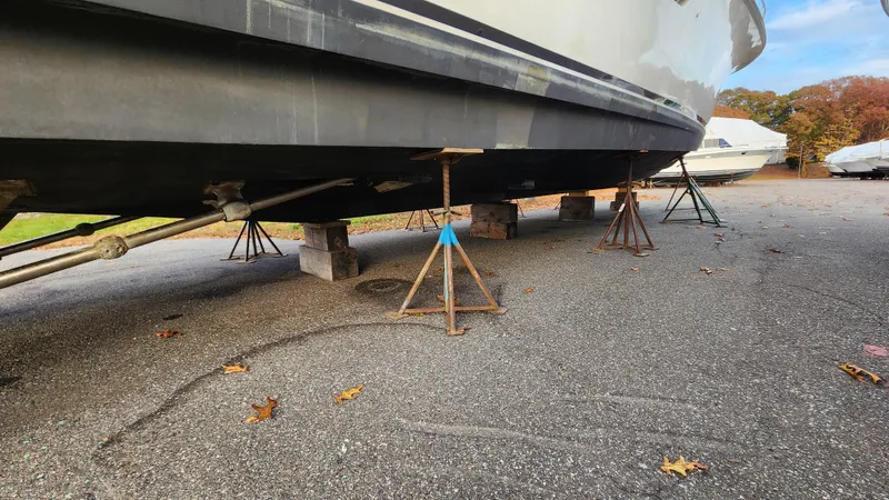 Endurance Yacht Photos Pics 