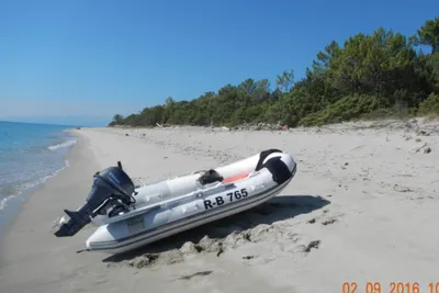 2016 Ribeye Ribeye TL 280