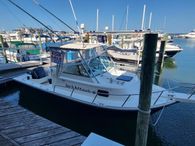 1999 Parker 2310 Walkaround