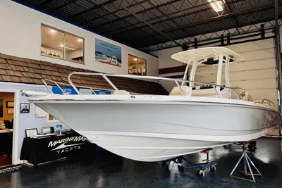 Boston Whaler 250 Dauntless