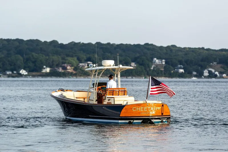 Cheetah Yacht Photos Pics 2014 Hinckley T29 CC boat on water with American flag, scenic shoreline background.