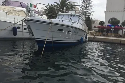 Condor Comtess 44