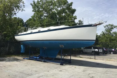 Hinterhoeller Nonsuch 354