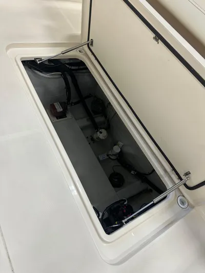 Trey Bella By The Ceci Yacht Photos Pics 