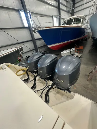 Trey Bella By The Ceci Yacht Photos Pics 