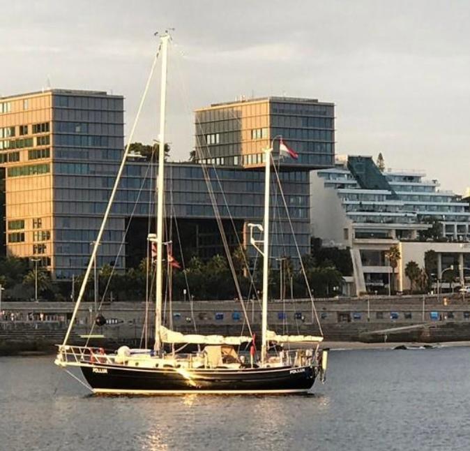 Polar Bear 38 (Dick Zaal) 1992 11m