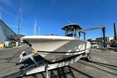 Pursuit S 248 Sport