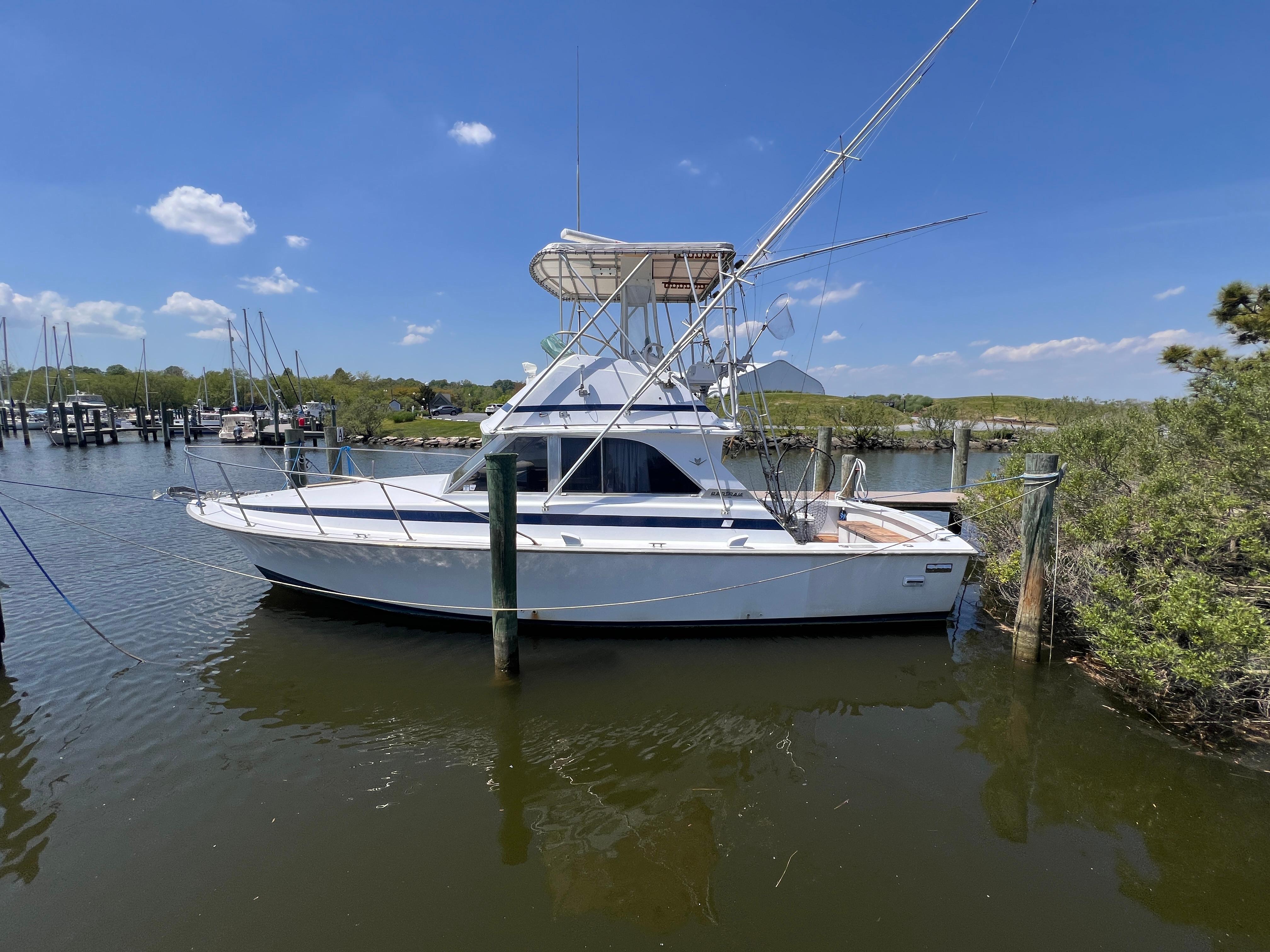 Used 1982 Bertram 35 Convertible - Maryland | TopBoats