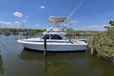 1982 Bertram 35 Convertible