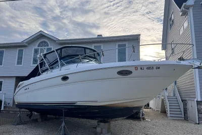 Sea Ray 290 Amberjack