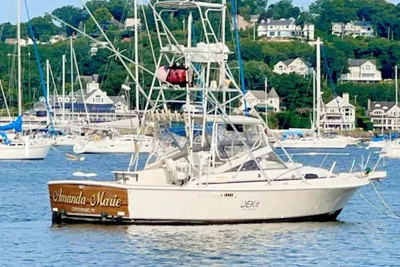 Blackfin 29 Combi
