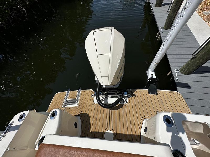 2023 Scout 240 Dorado