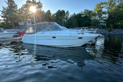Sea Ray 290 Amberjack