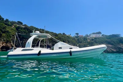 2023 Domar domar d-10