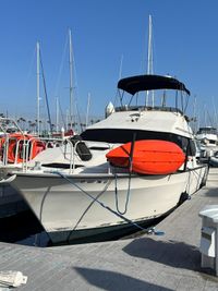 Mainship Mediterranean Convertible