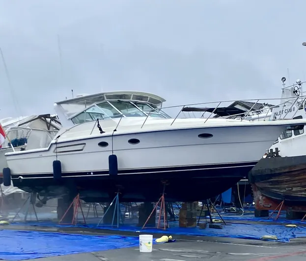 Shimako Yacht Photos Pics 