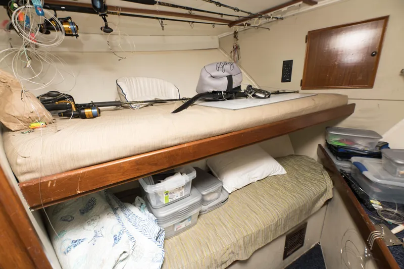 Top Shelf Yacht Photos Pics 