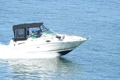 Sea Ray Sundancer