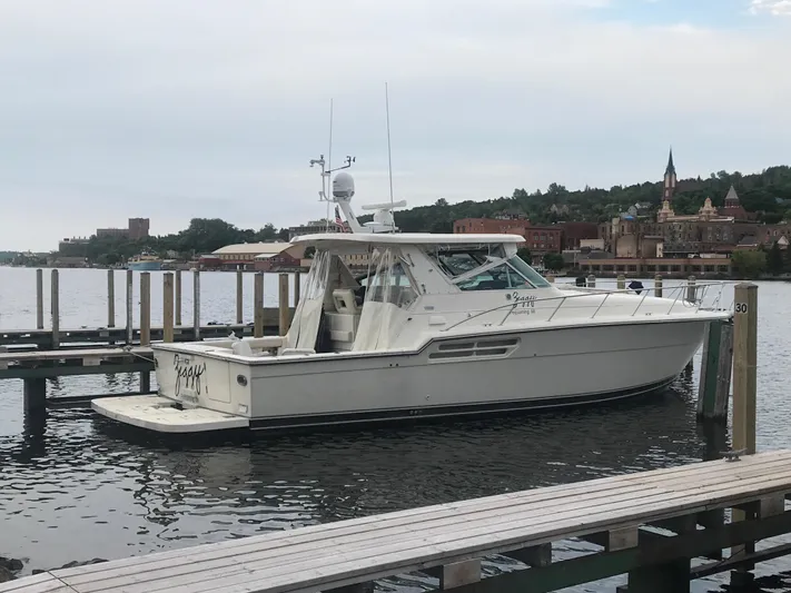 Ziggy Yacht Photos Pics 