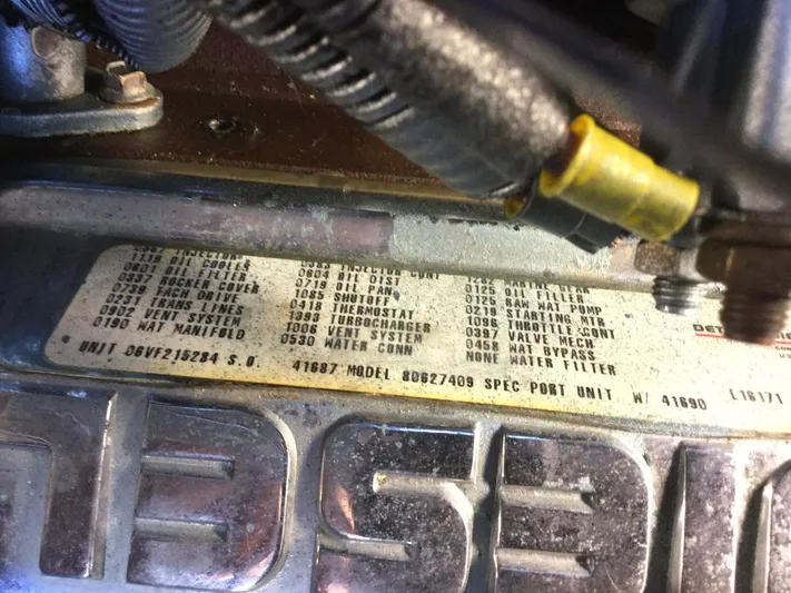 Ziggy Yacht Photos Pics 