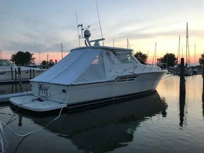 Ziggy Yacht Photos Pics 