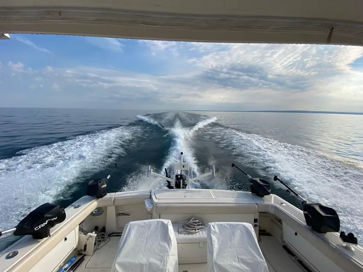 Ziggy Yacht Photos Pics 